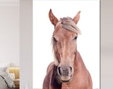 Brown Horse Canvas Print // Portrait Of A Brown Horse With A Light Mane Wall Art