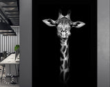 Giraffe Canvas Print // Giraffe in Black and White Portrait // Canvas Wall Art