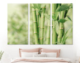 Bamboo Canvas Print // Beautiful Green Bamboo Stems Wall Art