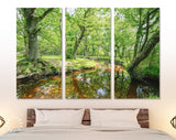 Forest Lake Canvas Print // The New Forest National Park Hampshire Wall Art