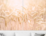 Grain field Canvas Print // Agricultural Field Wall Art