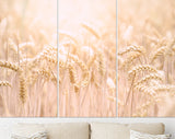 Grain field Canvas Print // Agricultural Field Wall Art