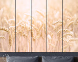 Grain field Canvas Print // Agricultural Field Wall Art