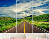 Green Desert Road Canvas Print // Cactus And Bushes Line The Highway