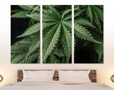Marijuana Leaf Canvas Print // Weed for recreational purposes