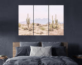 Arizona Desert Canvas Print // The Four Peaks and Saguaros // Central Arizona Desert