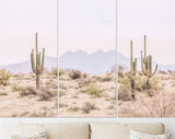 Arizona Desert Canvas Print // The Four Peaks and Saguaros // Central Arizona Desert