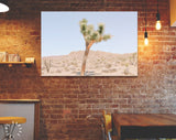 Joshua Tree Canvas Print // Extraordinary Stone Formations And Yucca In Nature In The Joshua Tree National Park California