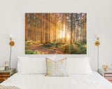 Silent Forest Canvas Print // Morning Forest in Spring with Beautiful Bright Sun Rays