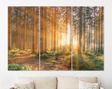 Silent Forest Canvas Print // Morning Forest in Spring with Beautiful Bright Sun Rays