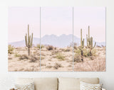 Arizona Desert Canvas Print // The Four Peaks and Saguaros // Central Arizona Desert