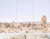 Desert Rock Formations Canvas Print // Joshua Tree National Park near Palm Springs in the California desert in the USA