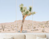 Joshua Tree Canvas Print // Extraordinary Stone Formations And Yucca In Nature In The Joshua Tree National Park California