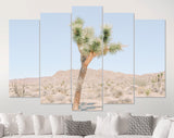 Joshua Tree Canvas Print // Extraordinary Stone Formations And Yucca In Nature In The Joshua Tree National Park California