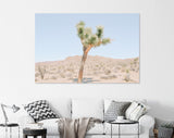 Joshua Tree Canvas Print // Extraordinary Stone Formations And Yucca In Nature In The Joshua Tree National Park California