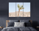 Joshua Tree Canvas Print // Extraordinary Stone Formations And Yucca In Nature In The Joshua Tree National Park California