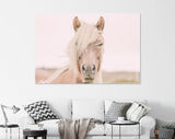 Icelandic Horse Canvas Print // Iceland Canvas Wall Art