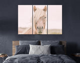 Icelandic Horse Canvas Print // Iceland Canvas Wall Art