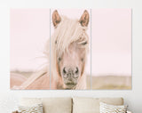 Icelandic Horse Canvas Print // Iceland Canvas Wall Art