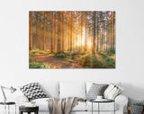 Silent Forest Canvas Print // Morning Forest in Spring with Beautiful Bright Sun Rays