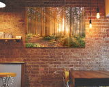 Silent Forest Canvas Print // Morning Forest in Spring with Beautiful Bright Sun Rays