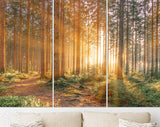 Silent Forest Canvas Print // Morning Forest in Spring with Beautiful Bright Sun Rays