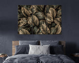 Leaves Canvas Print // Leaves of Cannifolium Spathiphyllum Abstract Dark Surface Natural Background Tropical Leaves