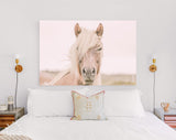 Icelandic Horse Canvas Print // Iceland Canvas Wall Art