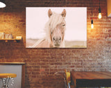 Icelandic Horse Canvas Print // Iceland Canvas Wall Art