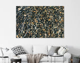 Underwater Pebbles Canvas Print // Multi Colored Pebble Rocks // Clear Water in Icy Straight Point Alaska United States