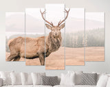 Wild Scottish Stag Canvas Print // Portrait of a free and wild Scottish stag, as captured in the Highlands