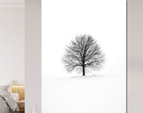 Leafless Tree Canvas Print // Black Lone Leafless Tree on Winter Background