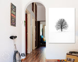 Leafless Tree Canvas Print // Black Lone Leafless Tree on Winter Background