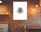 Leafless Tree Canvas Print // Black Lone Leafless Tree on Winter Background