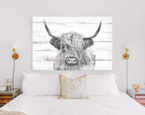 Highland Cow White Wood Background Canvas Print