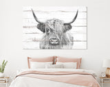 Highland Cow White Wood Background Canvas Print