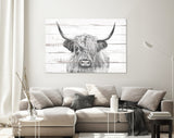 Highland Cow White Wood Background Canvas Print