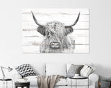 Highland Cow White Wood Background Canvas Print