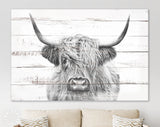 Highland Cow White Wood Background Canvas Print