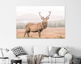 Wild Scottish Stag Canvas Print // Portrait of a free and wild Scottish stag, as captured in the Highlands