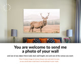 Wild Scottish Stag Canvas Print // Portrait of a free and wild Scottish stag, as captured in the Highlands