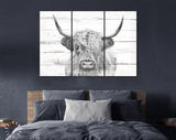 Highland Cow White Wood Background Canvas Print