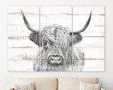 Highland Cow White Wood Background Canvas Print