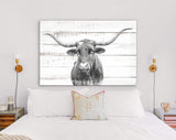 Texas Longhorn Canvas Print // Close-up Portrait of Texas Longhorn Cow // Longhorn White Wood Background Canvas Print