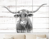 Texas Longhorn Canvas Print // Close-up Portrait of Texas Longhorn Cow // Longhorn White Wood Background Canvas Print