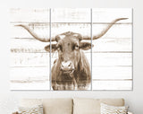 Texas Longhorn Canvas Print Sepia // Sepia Close-up Portrait of Texas Longhorn Cow // Longhorn White Wood Background Sepia Canvas Print