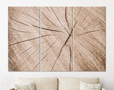 Wood Texture Canvas Print // Cross-Section of Tree Trunk Canvas Wall Decor // Luxury Abstract Printing