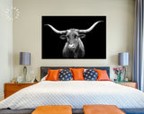 Texas Longhorn Canvas Print // Portrait of Texas Longhorn Cow with a Black Background // Black and White Wall Art