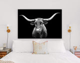 Texas Longhorn Canvas Print // Portrait of Texas Longhorn Cow with a Black Background // Black and White Wall Art