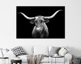 Texas Longhorn Canvas Print // Portrait of Texas Longhorn Cow with a Black Background // Black and White Wall Art